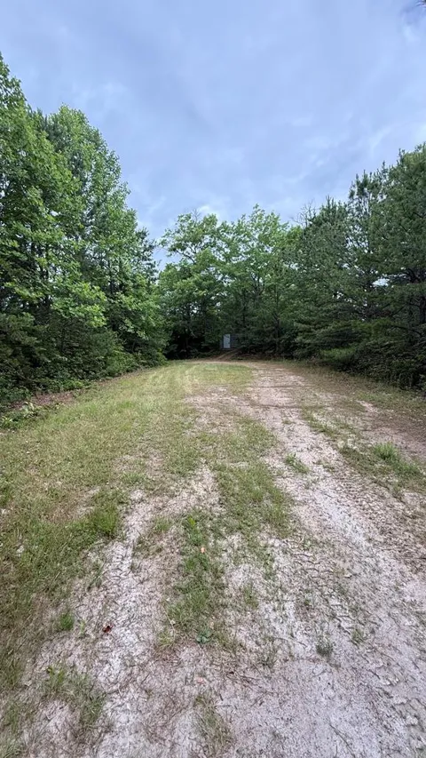 Hummingbird Hill