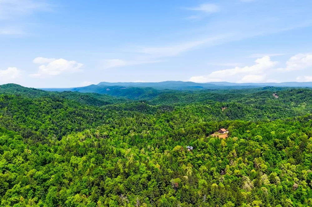 1600 Dover Drive Ranger, GA 30734