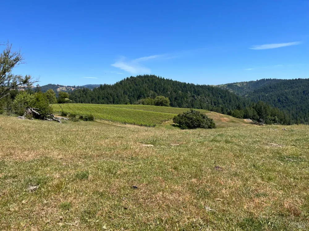 38555 Hauser Bridge Road Cazadero, CA 95421