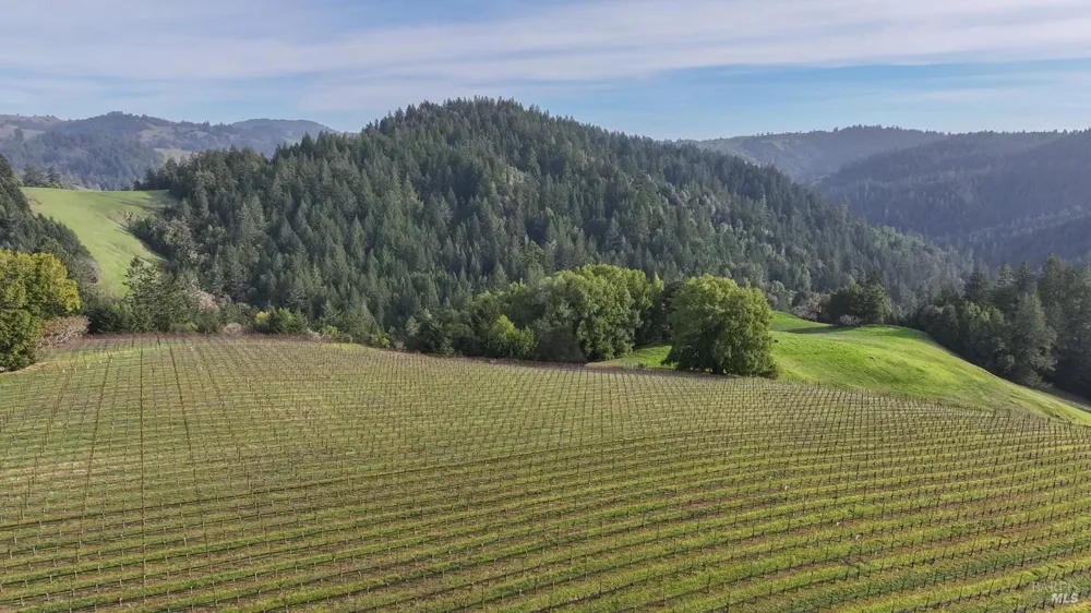 38555 Hauser Bridge Road Cazadero, CA 95421