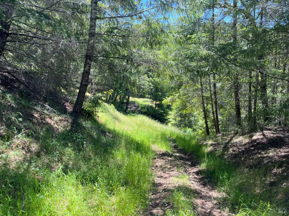 38555 Hauser Bridge Road Cazadero, CA 95421