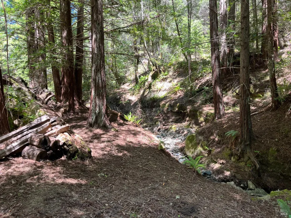 38555 Hauser Bridge Road Cazadero, CA 95421