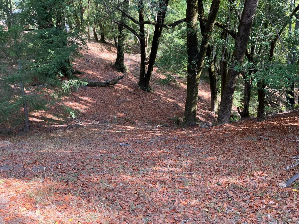 38555 Hauser Bridge Road Cazadero, CA 95421