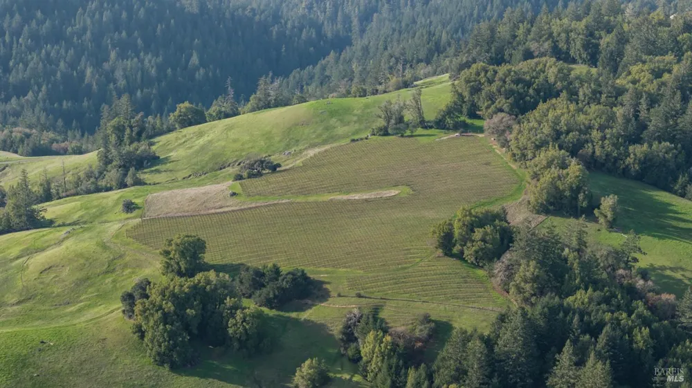 38555 Hauser Bridge Road Cazadero, CA 95421