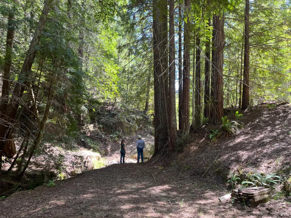 38555 Hauser Bridge Road Cazadero, CA 95421