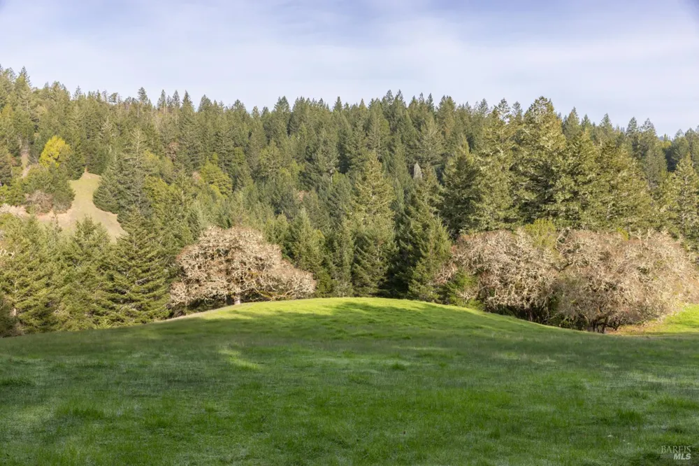 38555 Hauser Bridge Road Cazadero, CA 95421