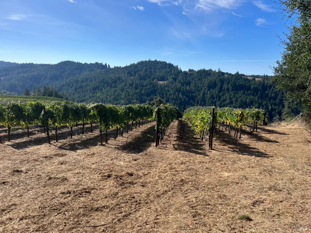 38555 Hauser Bridge Road Cazadero, CA 95421