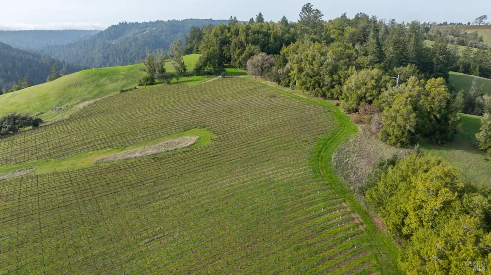 38555 Hauser Bridge Road Cazadero, CA 95421