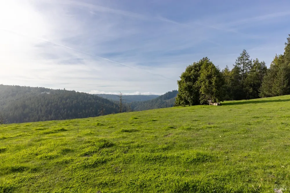 38555 Hauser Bridge Road Cazadero, CA 95421