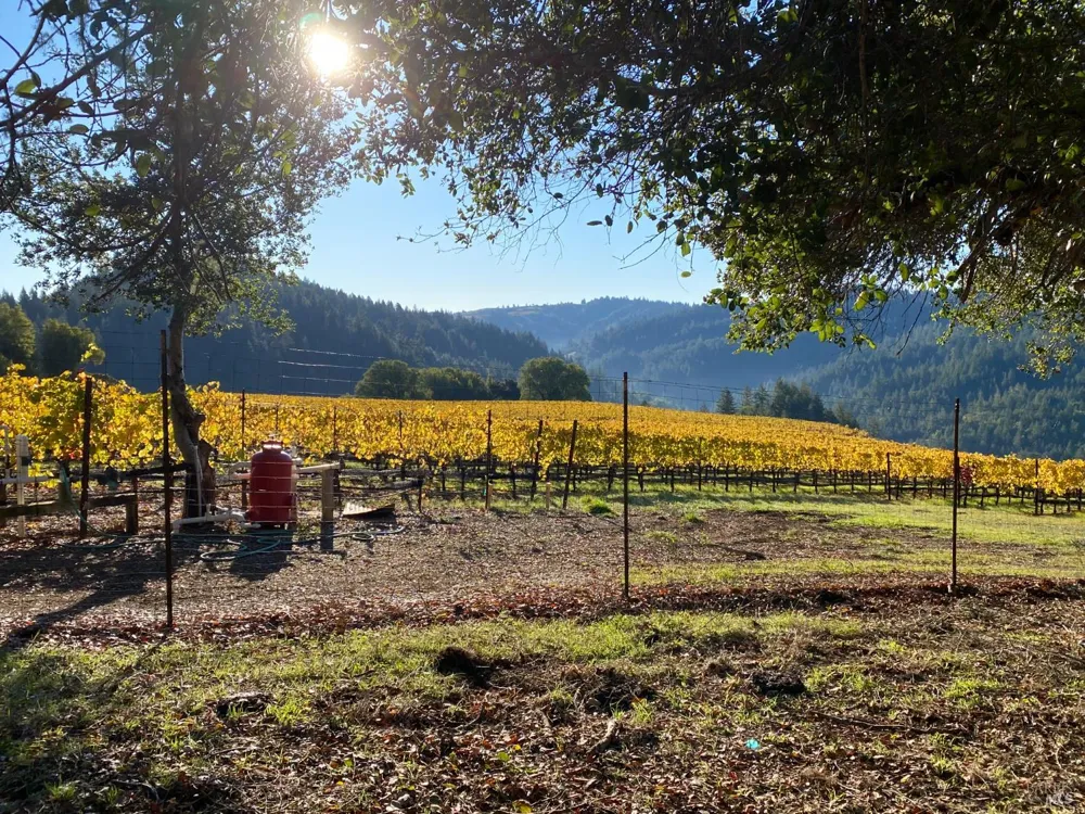38555 Hauser Bridge Road Cazadero, CA 95421