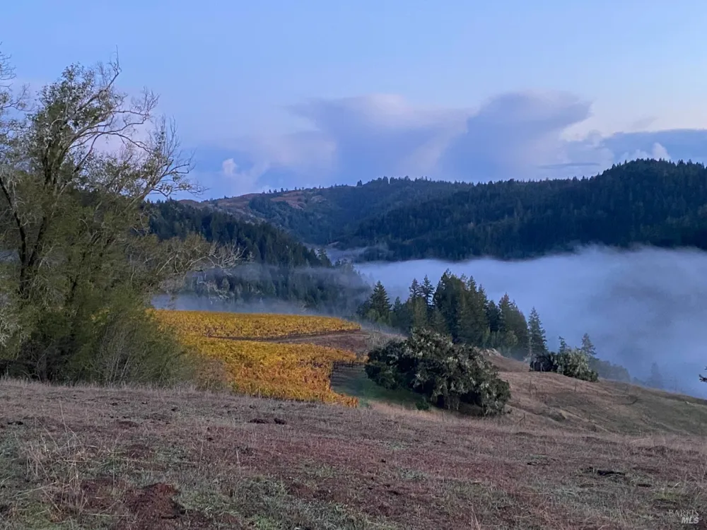 38555 Hauser Bridge Road Cazadero, CA 95421