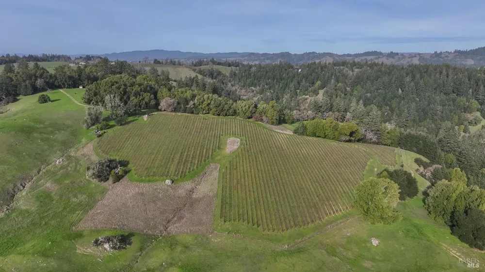 38555 Hauser Bridge Road Cazadero, CA 95421