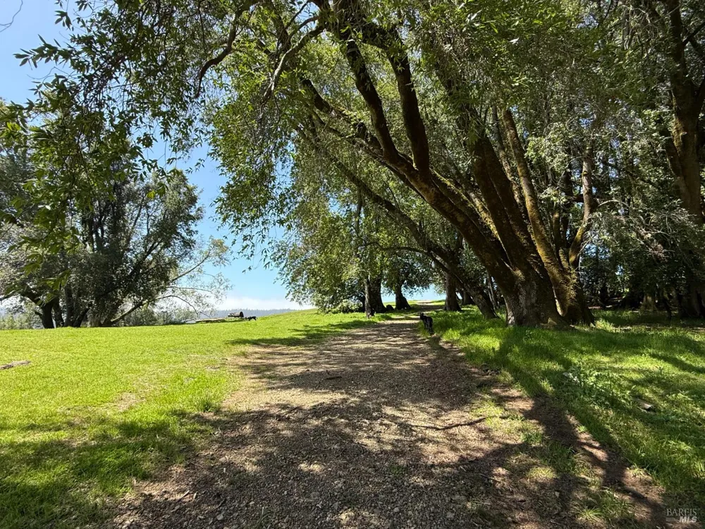 38555 Hauser Bridge Road Cazadero, CA 95421