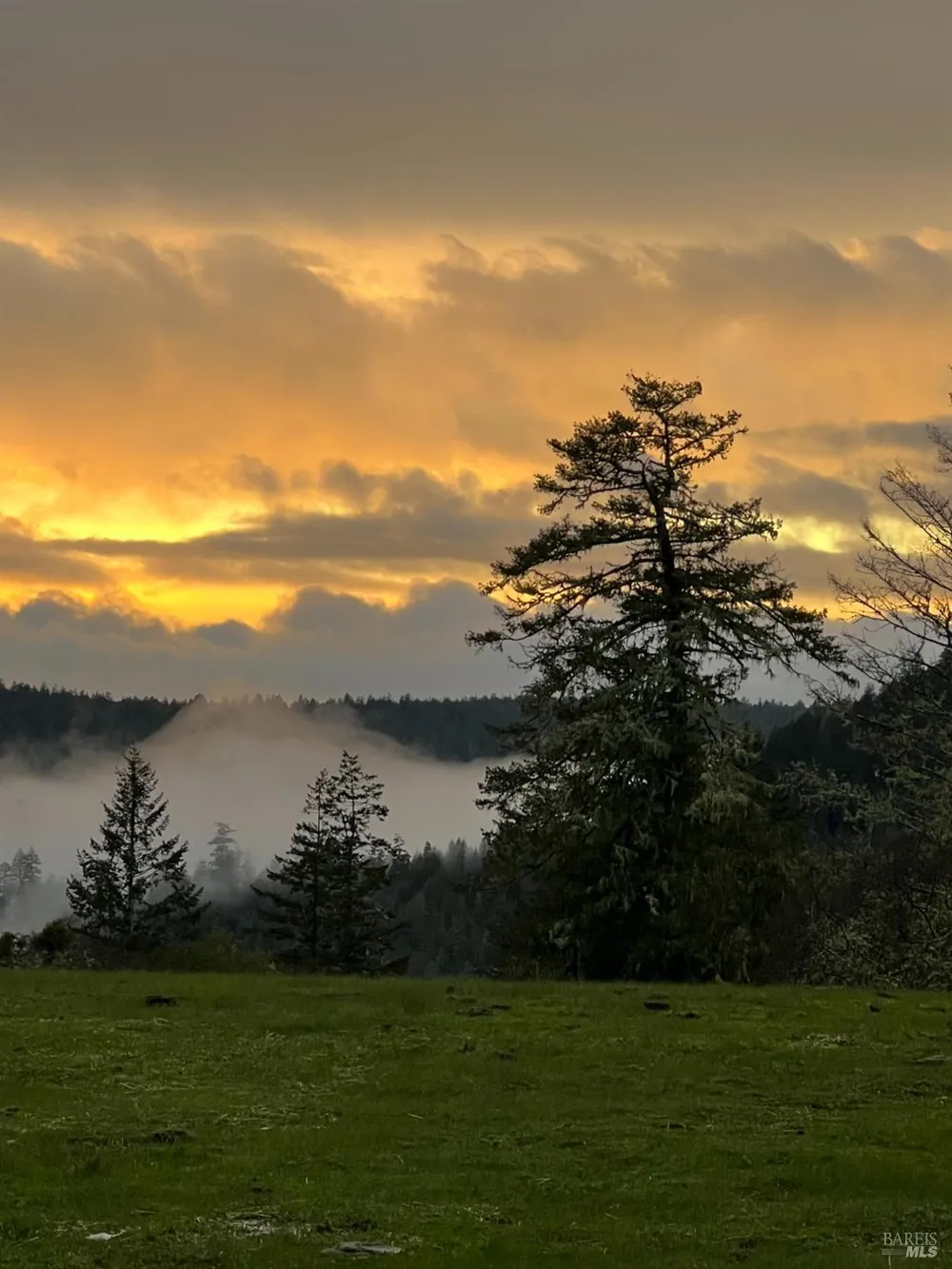 38555 Hauser Bridge Road Cazadero, CA 95421