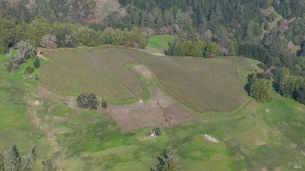 38555 Hauser Bridge Road Cazadero, CA 95421
