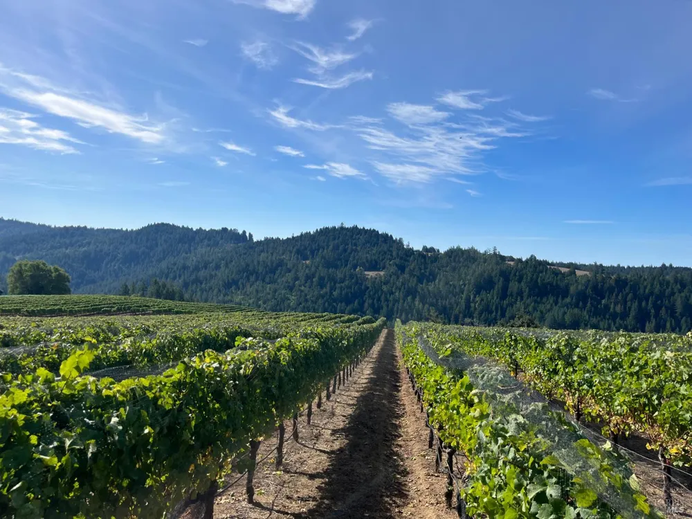 38555 Hauser Bridge Road Cazadero, CA 95421