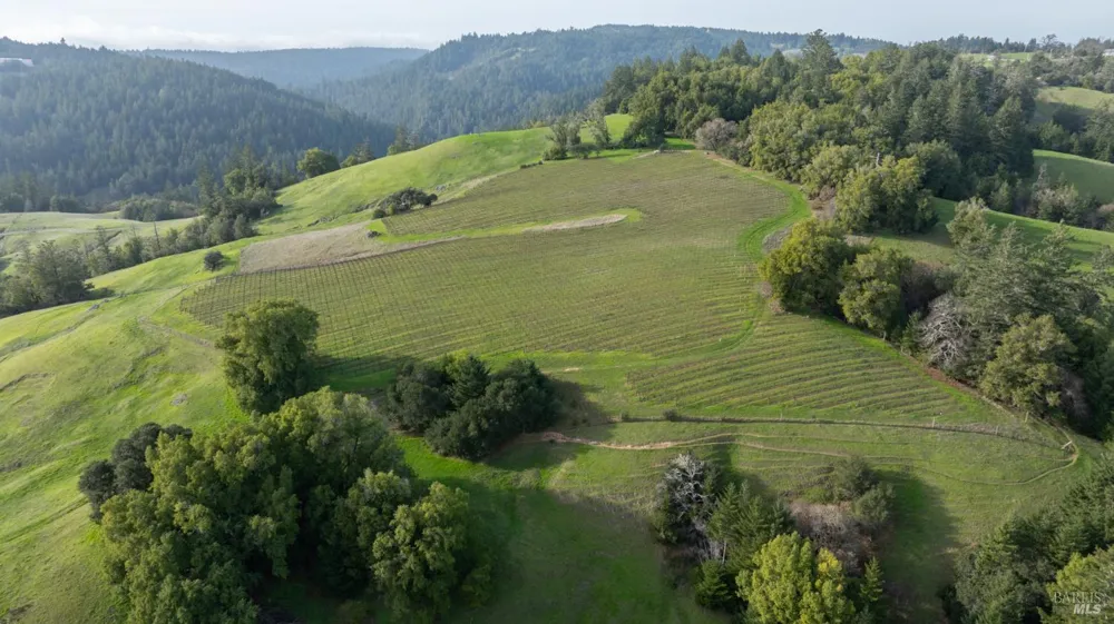 38555 Hauser Bridge Road Cazadero, CA 95421