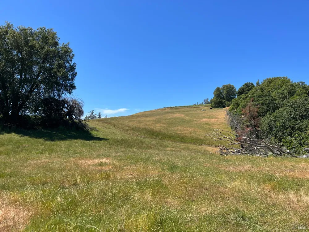 38555 Hauser Bridge Road Cazadero, CA 95421
