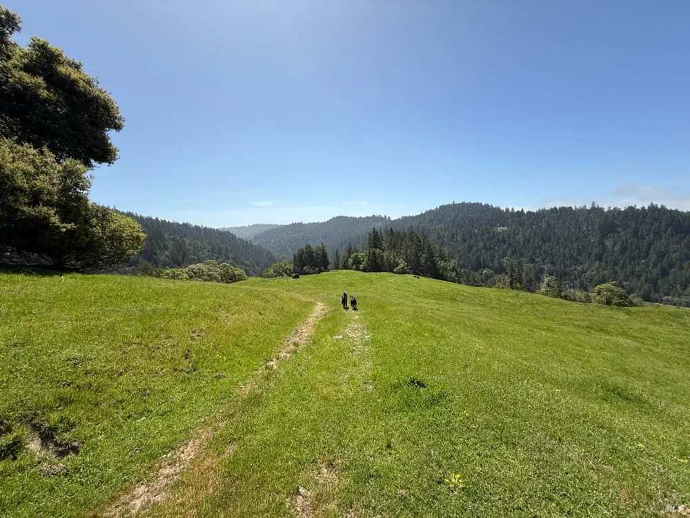 38555 Hauser Bridge Road Cazadero, CA 95421