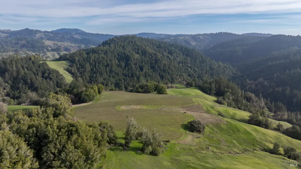 38555 Hauser Bridge Road Cazadero, CA 95421