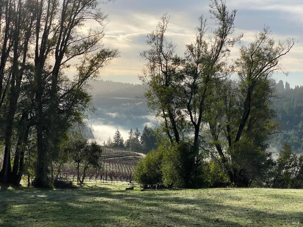 38555 Hauser Bridge Road Cazadero, CA 95421