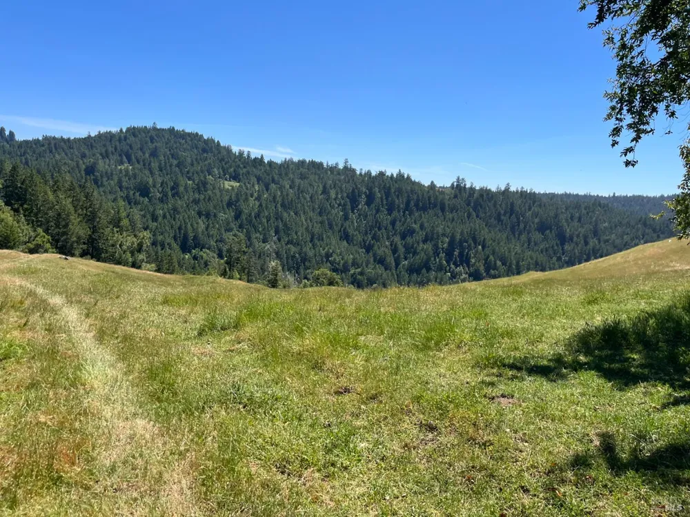38555 Hauser Bridge Road Cazadero, CA 95421