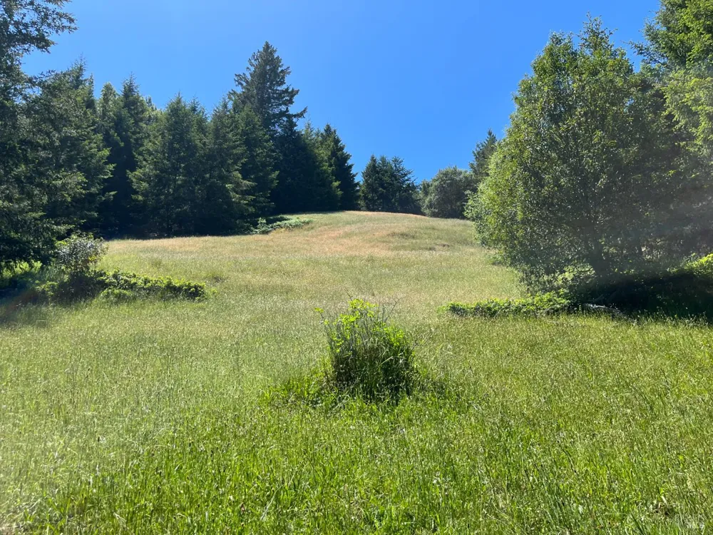 38555 Hauser Bridge Road Cazadero, CA 95421
