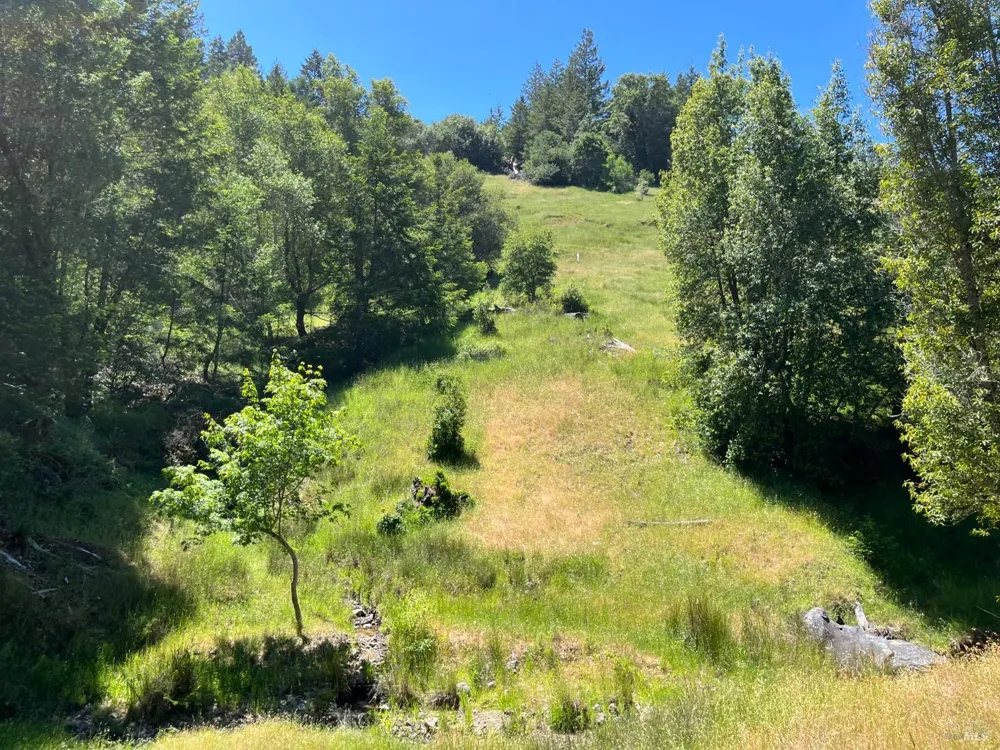 38555 Hauser Bridge Road Cazadero, CA 95421
