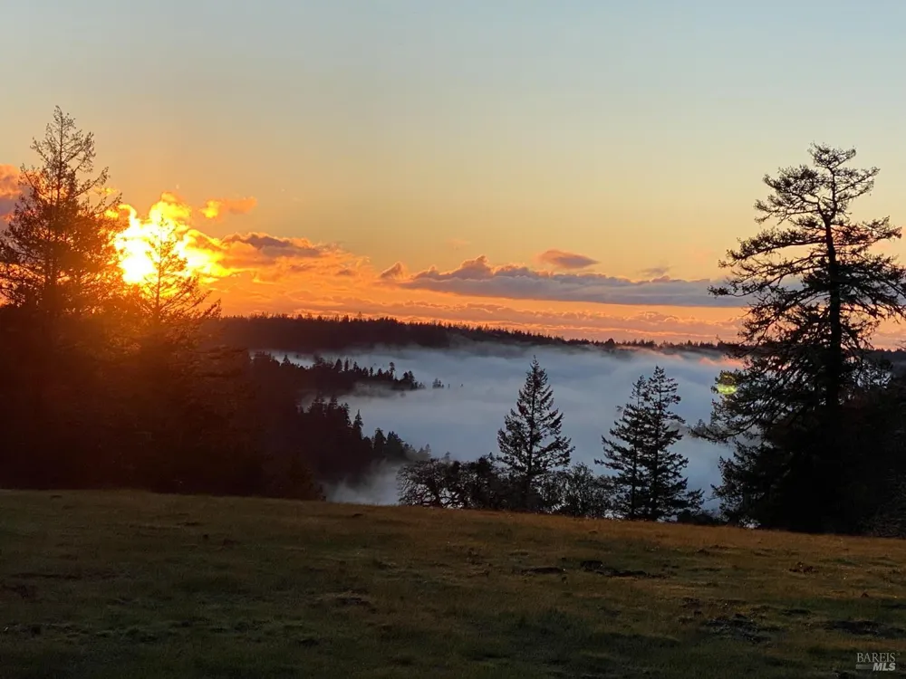 38555 Hauser Bridge Road Cazadero, CA 95421