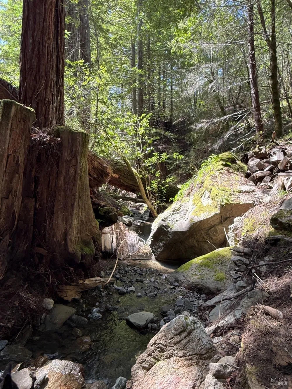 38555 Hauser Bridge Road Cazadero, CA 95421
