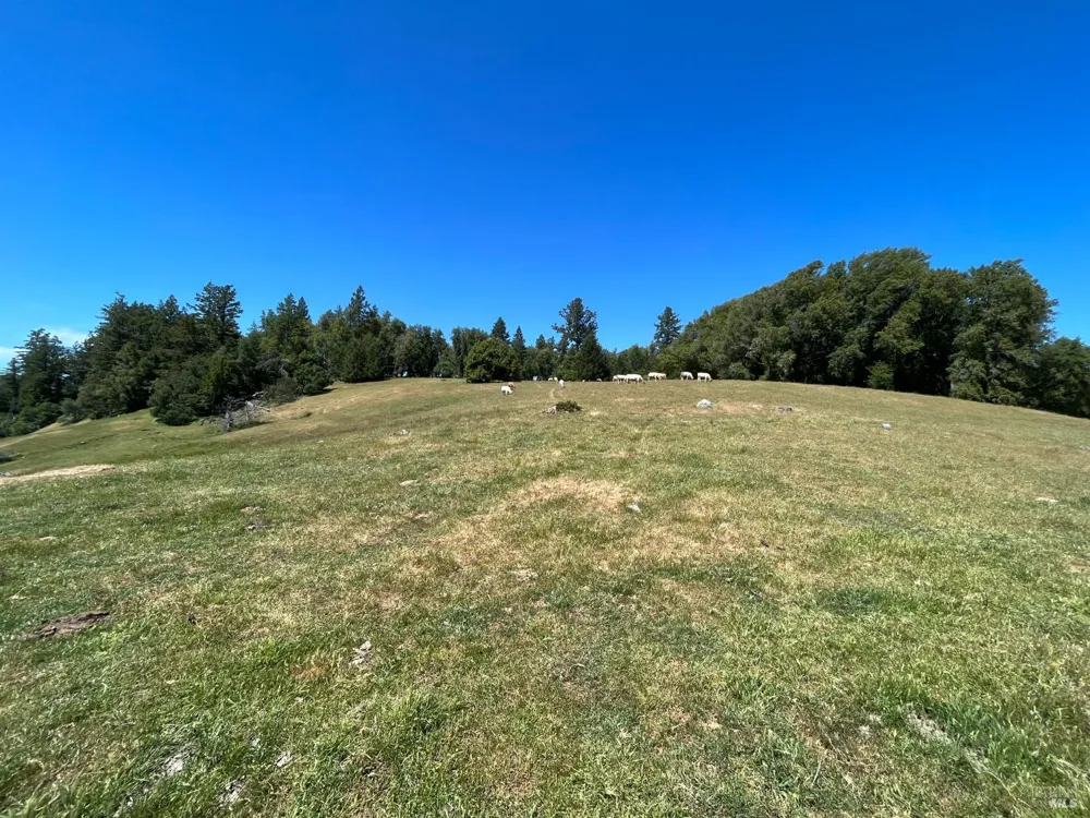 38555 Hauser Bridge Road Cazadero, CA 95421