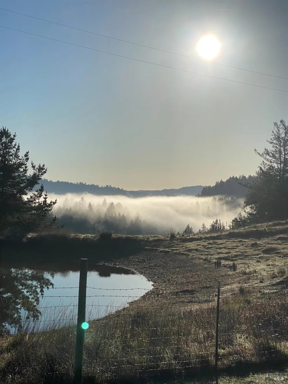 38555 Hauser Bridge Road Cazadero, CA 95421