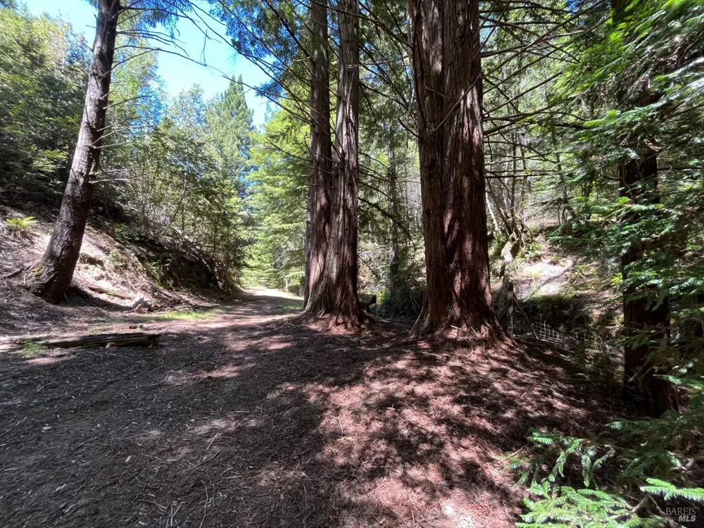 38555 Hauser Bridge Road Cazadero, CA 95421