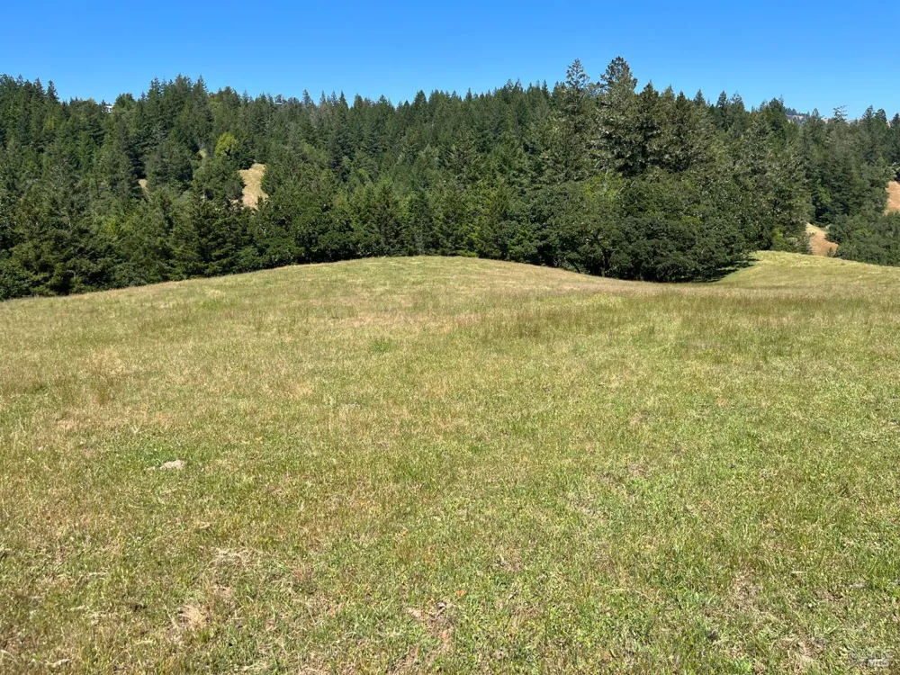 38555 Hauser Bridge Road Cazadero, CA 95421