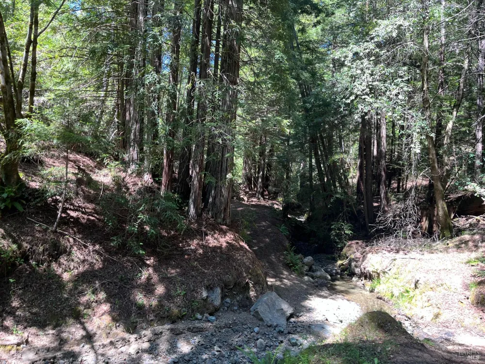 38555 Hauser Bridge Road Cazadero, CA 95421