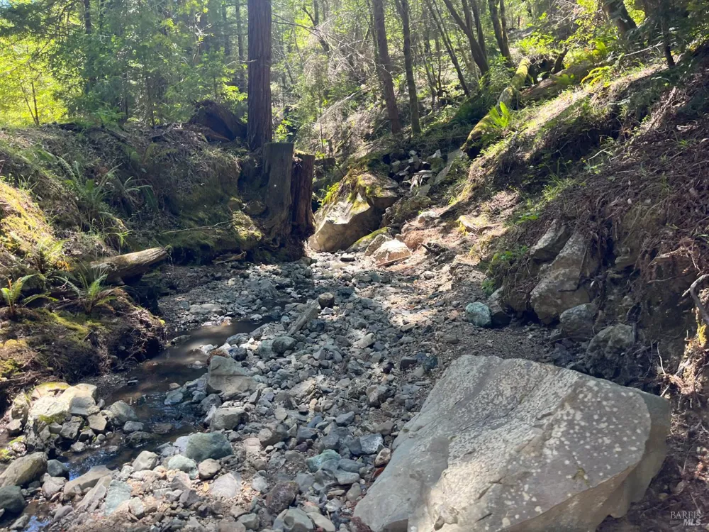 38555 Hauser Bridge Road Cazadero, CA 95421