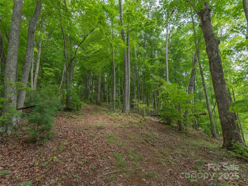 00 Bark Trail Waynesville, NC 28786