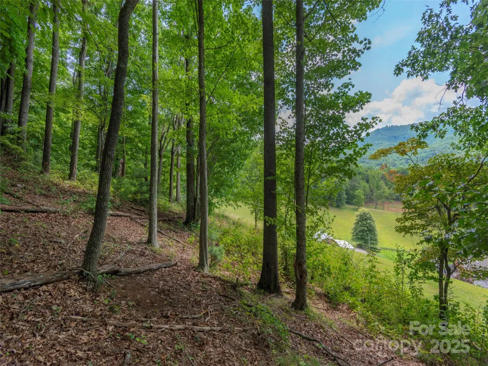 00 Bark Trail Waynesville, NC 28786