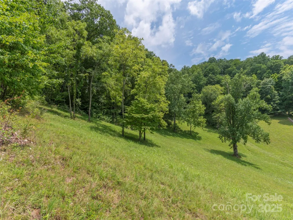 00 Bark Trail Waynesville, NC 28786