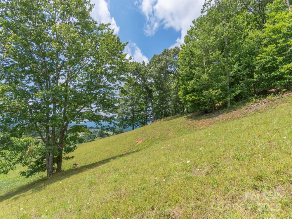 00 Bark Trail Waynesville, NC 28786