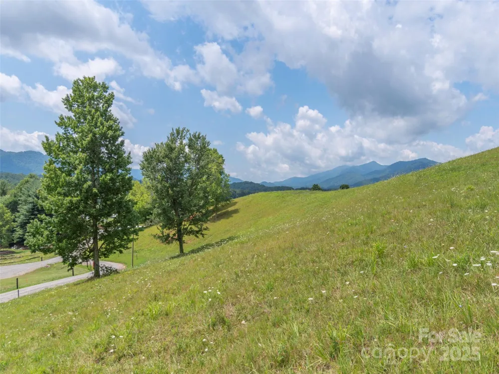 00 Bark Trail Waynesville, NC 28786