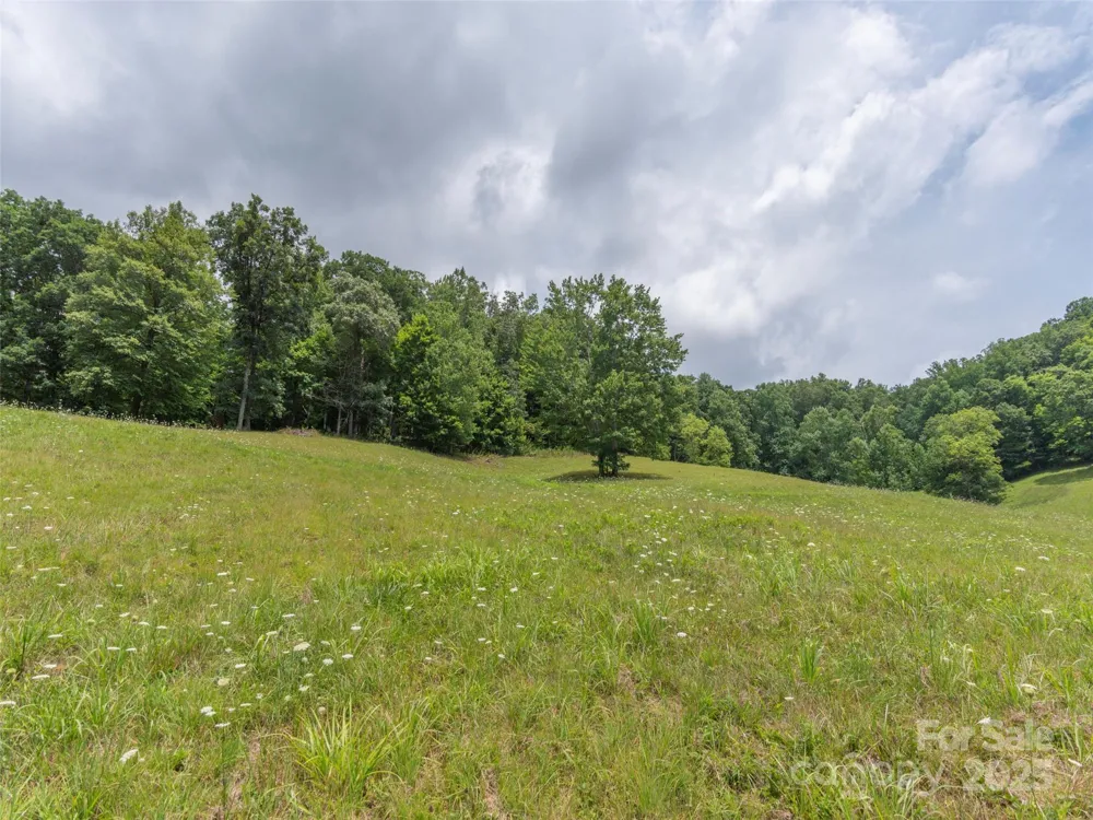 00 Bark Trail Waynesville, NC 28786