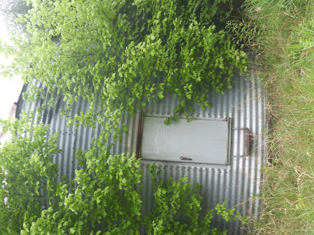 Double S Road Dayton, TN 37321