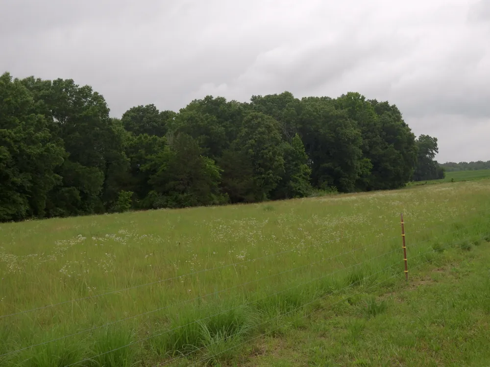 Double S Road Dayton, TN 37321