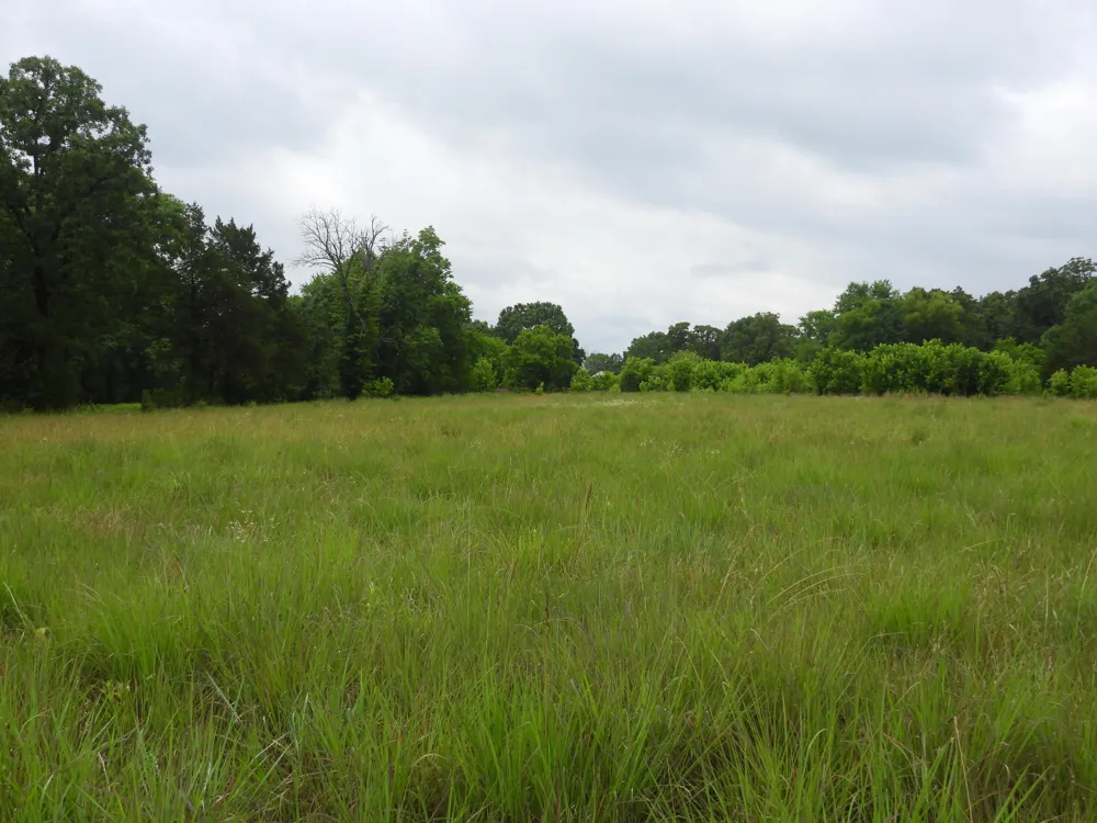 Double S Road Dayton, TN 37321