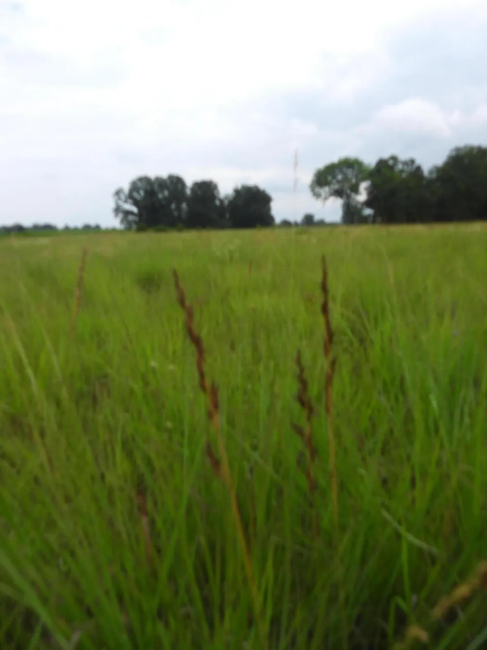 Double S Road Dayton, TN 37321