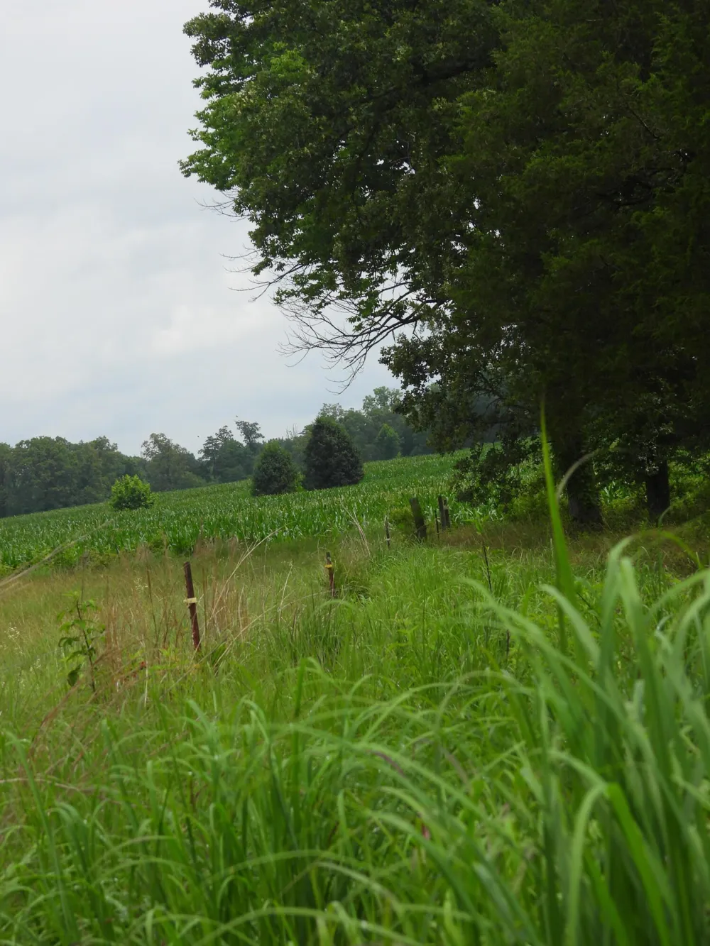 Double S Road Dayton, TN 37321