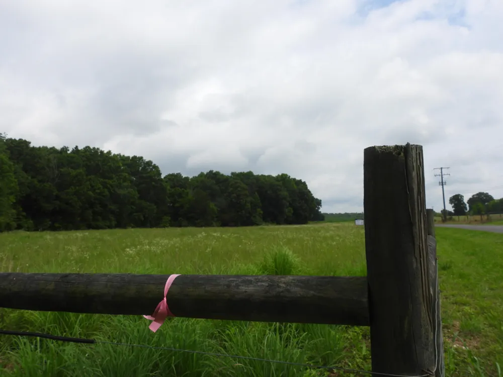 Double S Road Dayton, TN 37321