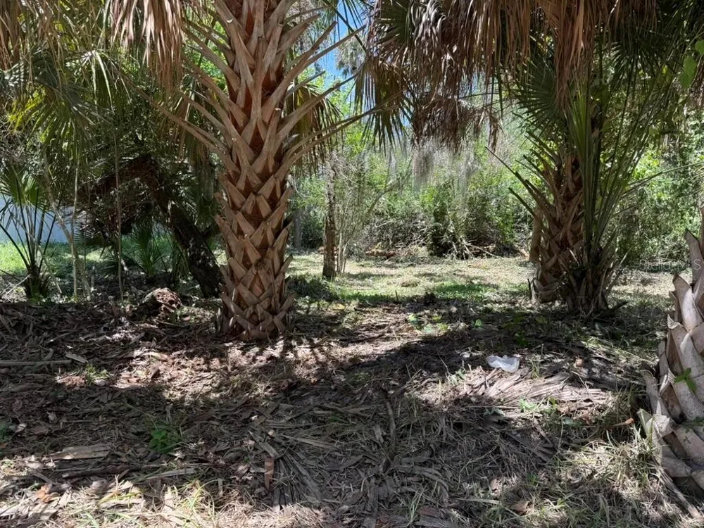 110 OAK STREET Flagler Beach, FL 32136