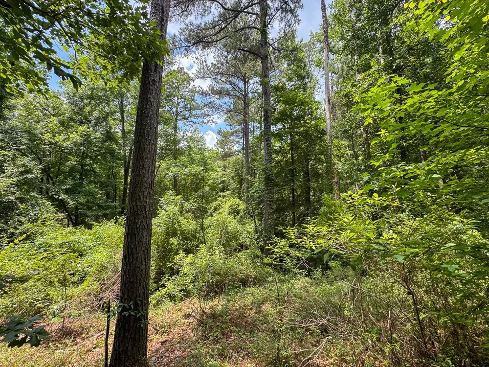 2 Posey Webb Camp Road Sicily Island, LA 71343